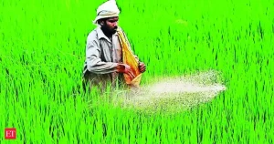 भारत का ५०,००० करोड़ रुपये का उर्वरक बढ़ावा